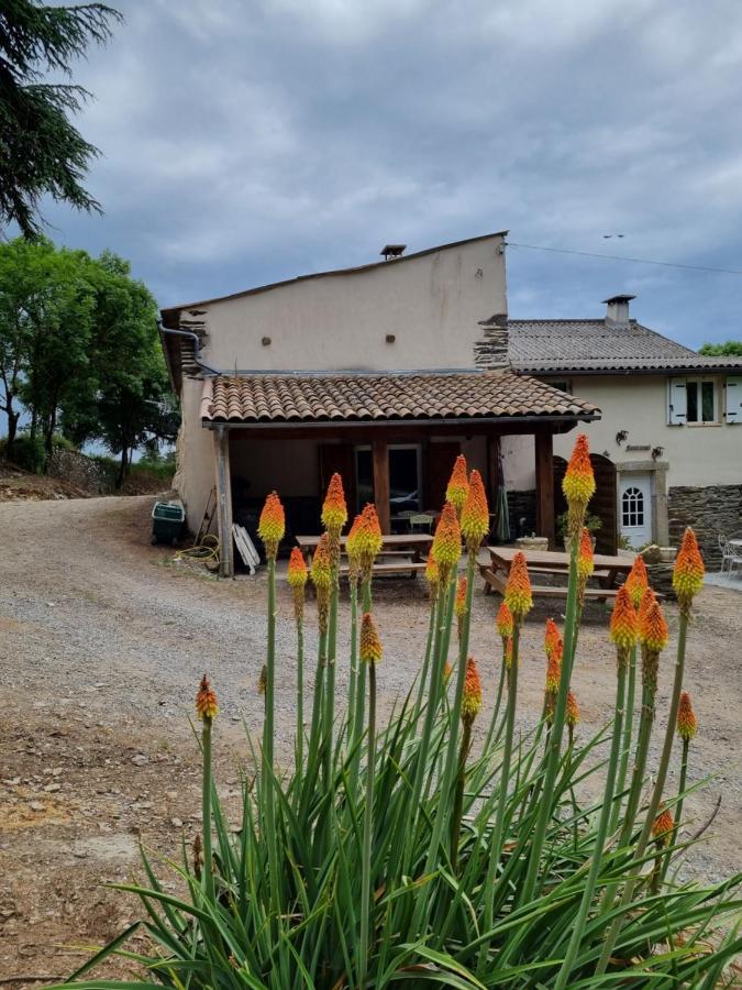 Caudebronde L'Oeil De Carcassonne 빌라 외부 사진
